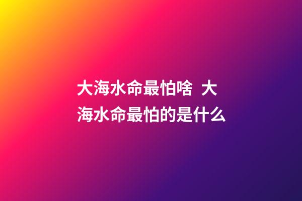 大海水命最怕啥  大海水命最怕的是什么